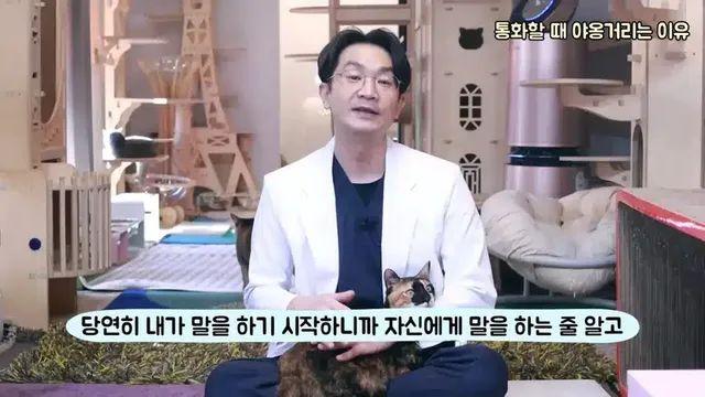 전화할때 고양이가 옆에서 야옹 거리는 이유..