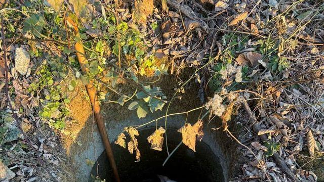 울 강아지(상추)가 실종견 찾았다는 견주다