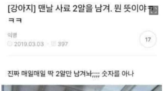 강아지맨날 사료를 두알남겨 뭔 뜻인지..