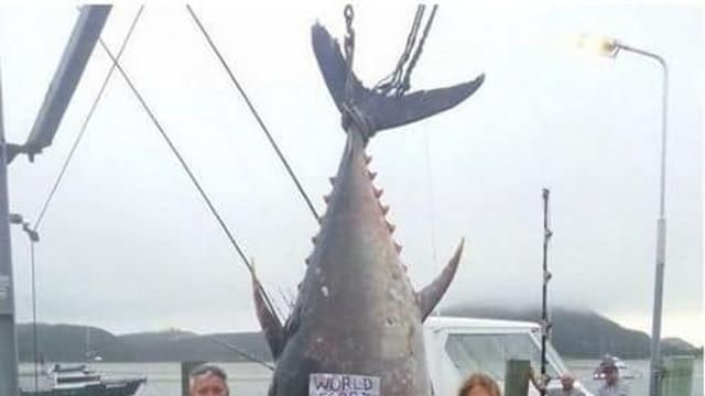 20억짜리 낚아올린 여인,,