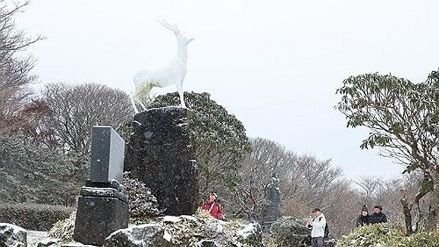 제주 흐리고 곳에 따라 눈 또는 비…낮 최고 7∼10도
