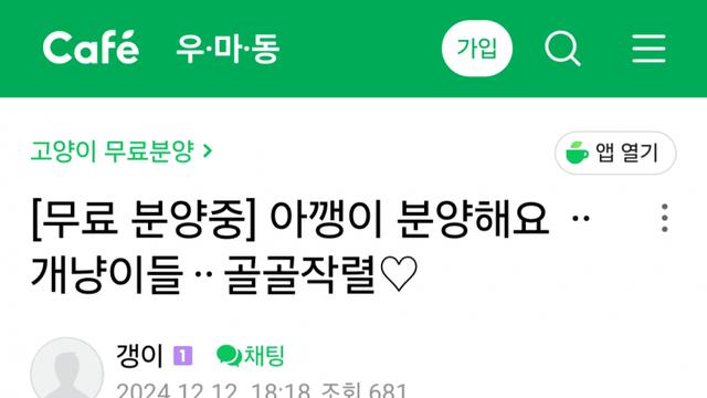 길고양이 판매하고 페르시안에 줄선 캣맘