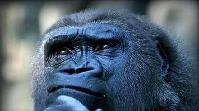 “중세 시대의 기사는 40일만 봉사했다!”..