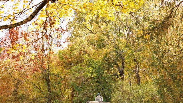 코네티컷 숲 속 존 배의 집