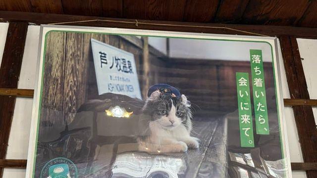 후쿠시마의 고양이역
