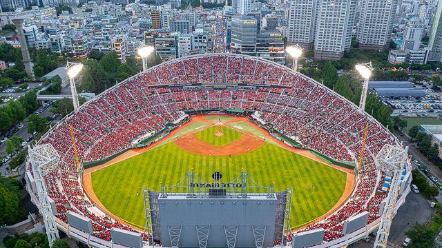 줄지 않은 3m…홈런 원하는 롯데, 낮춘 높이보다 먼 펜스까지 거리에 물음표