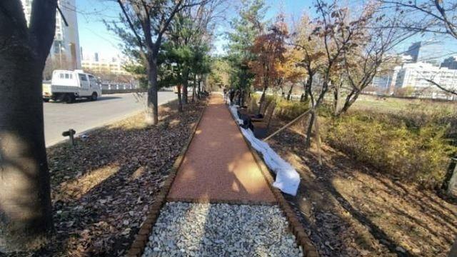 광명시, '안양천 맨발 뚜벅 길' 새 단장