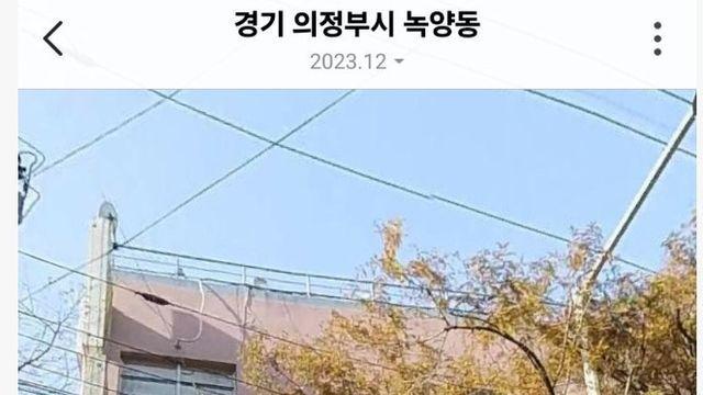 비비 소속사 필굿뮤직 건물 수준