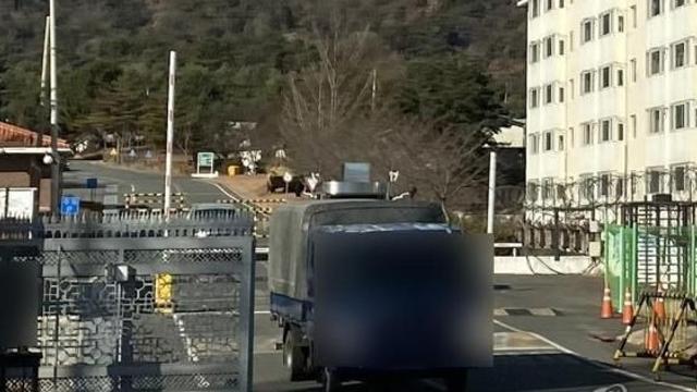 김해 진례면 군부대서 탱크시설 검사 중 폭발…민간인 3명 부상