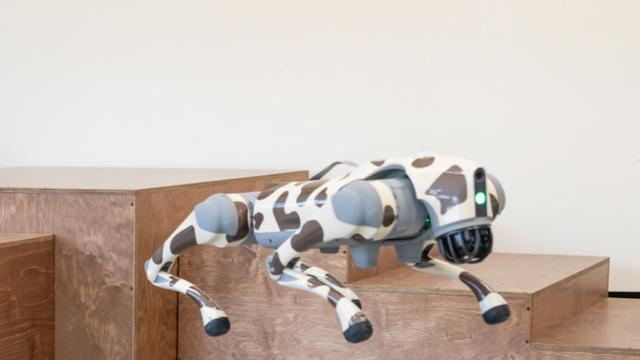 국립광주과학관, AI 로봇 강아지 등 신규 전시품 선보여