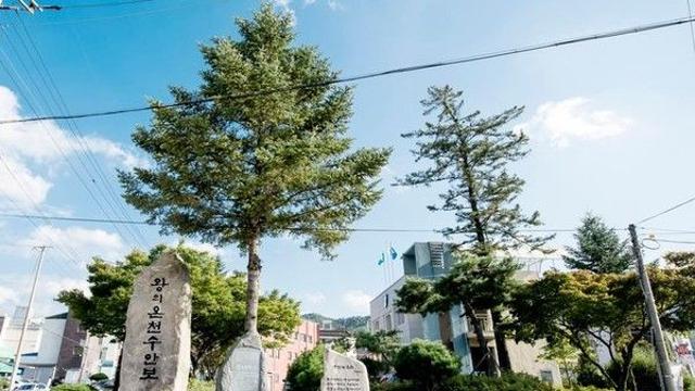 겨울철 힐링 여행, 충주 수안보 온천과 추천 명소