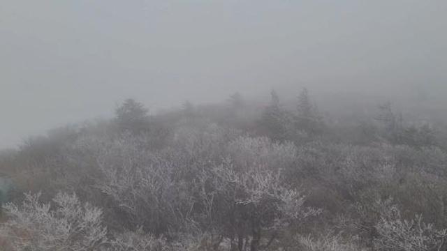 출근길 영하 10도 맹추위…충청·전북 20Cm 폭설[오늘 날씨]