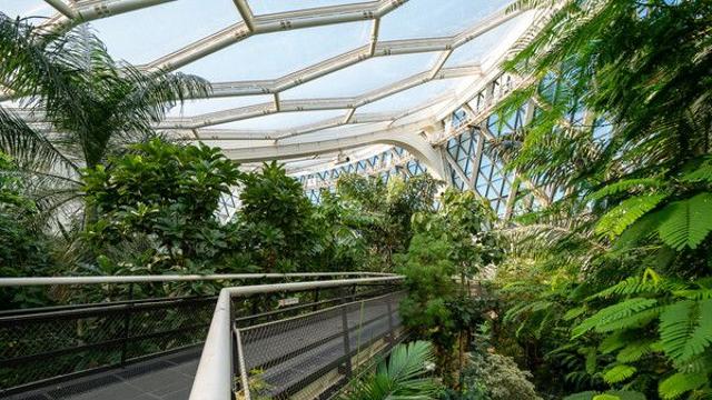 새 희망으로 설레는 푸른 기운 가득한 ‘겨울 여행 5선’