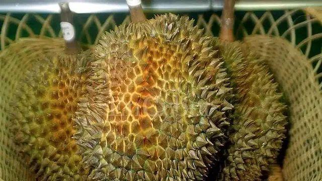 동남아 역사상 가장 용감했던 사람..