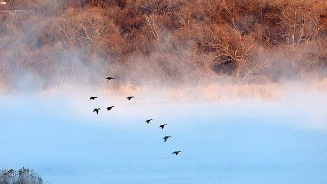[날씨]오늘 '서울 -7도' 출근길 기온 뚝…일부 지역에 눈