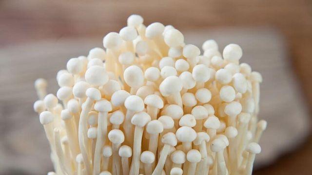 의외로 인간이 잘 소화하지 못하는 것..