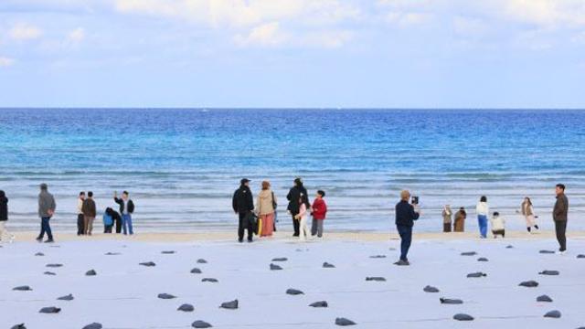28일 새벽까지 충청·전북에 많은 눈…영하 13도 추위 계속된다[내일날씨]