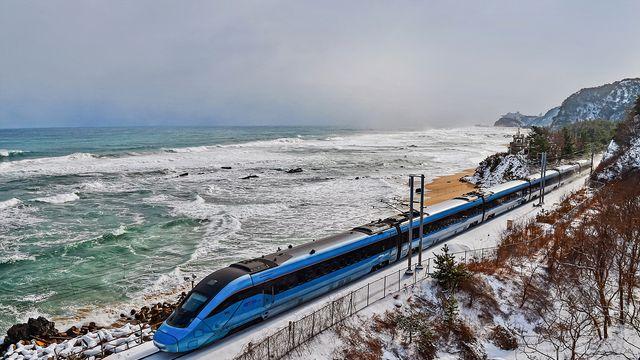 열차 타고 겨울여행 떠나요!...코레일, 해돋이·눈꽃열차 기차 여행상품 173개 선봬