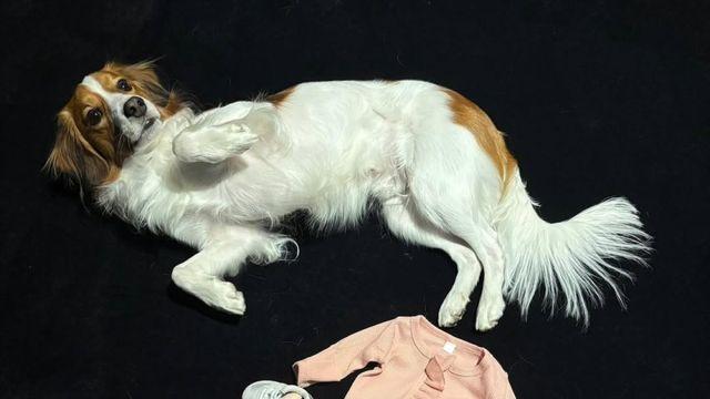‘50-50’ 오타니, 아빠 된다…“가족에 합류할 루키가 기다려져요”
