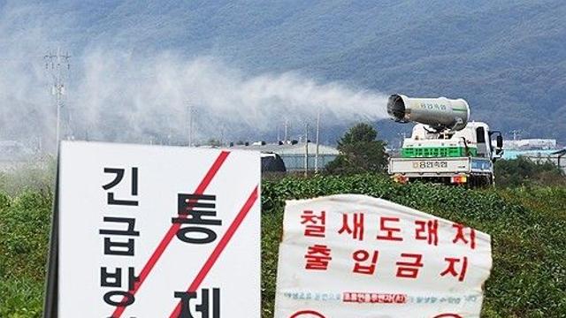 충북 진천서 고병원성 AI…전국 가금농장 18번째(종합)