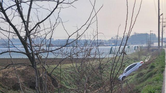 너네 아반떼가 물마시는거 봤어?..