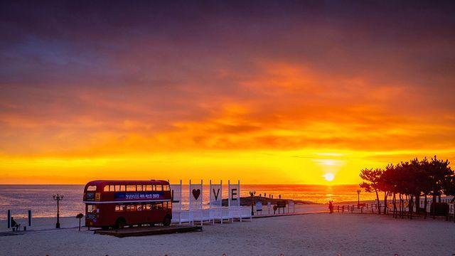 강원도부터 제주까지... 전국 일출 명소에 위치한 호텔·리조트 10곳