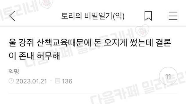 강아지에게 헛돈 쓴 사람..