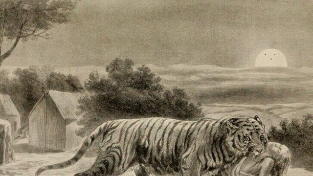 ???: 아니 이거 다들 위험하다매 존나 좁밥이잖아..