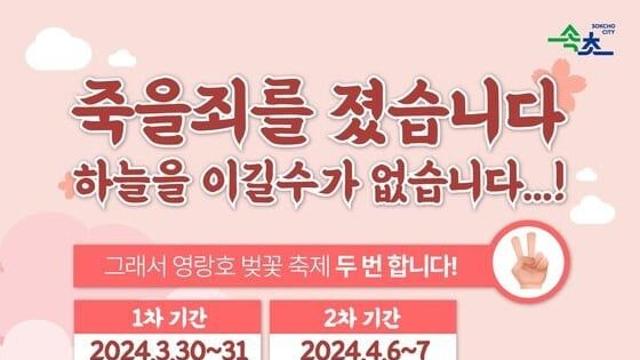 하늘에게 패배한 속초시 근황.jpg..