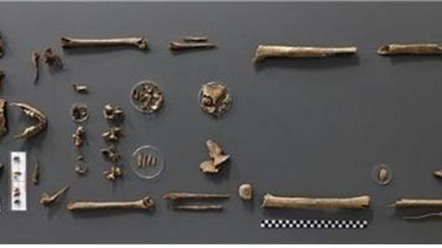 '734고지 전투'서 전사한 오두용 하사 유해 73년만에 가족품으로