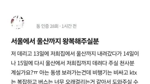 베스트 올라온 당근마켓 서울에서 울산까지 왕복해주실 분..