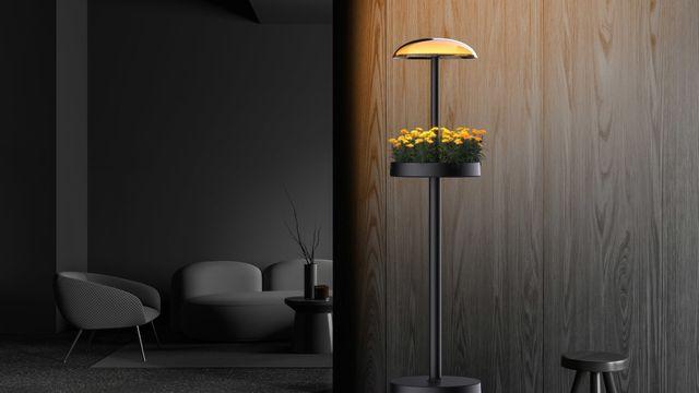 임원 중 식물갤러 있는 거 같다는 LG