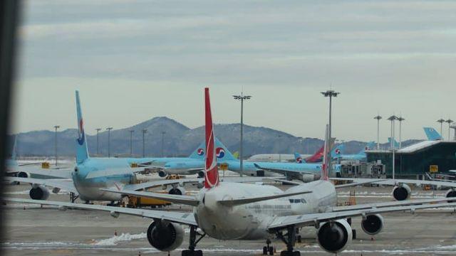 일본 가서 자동차만 구경한 후기