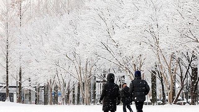 [내일날씨] 새해 첫날 구름 많고 일부 지역 눈…미세먼지 '좋음'