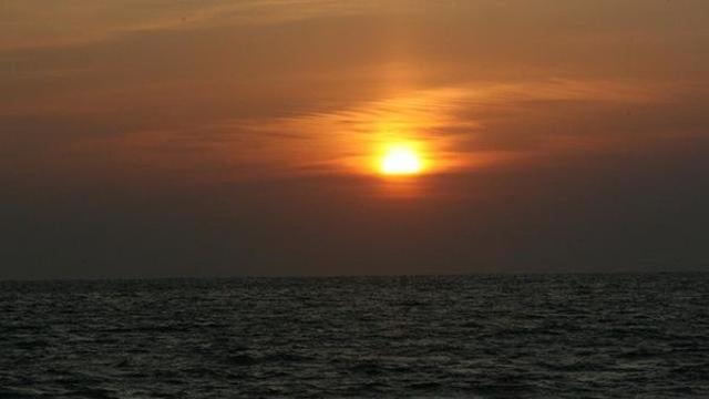 2025년 무슨해 '푸른 뱀띠해' 새해인사말 메시지·문구 10가지 추천