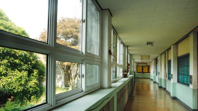 교육청 속이고 폐교 '공짜 임대'… 카페 열어 '34억' 벌었다