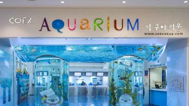 서울 1월 아이들과 가볼만한 곳! 겨울 방학동안 방문하기 좋은 실내·체험 명소 Best 5