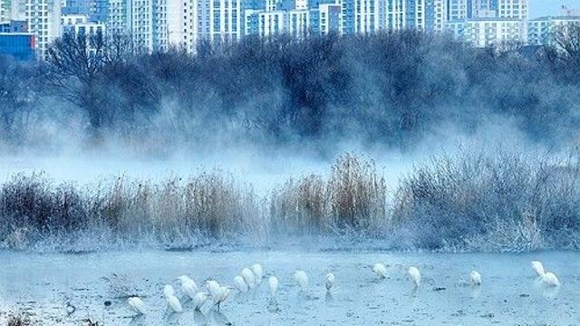 평창 면온 영하 14.8도 아침 기온 '뚝'…내륙·산지 한파특보