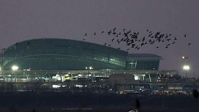 무안공항 7년 조종사 