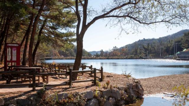 울산 북구 해돋이 가볼만한곳, 감동을 주는 풍경 추천