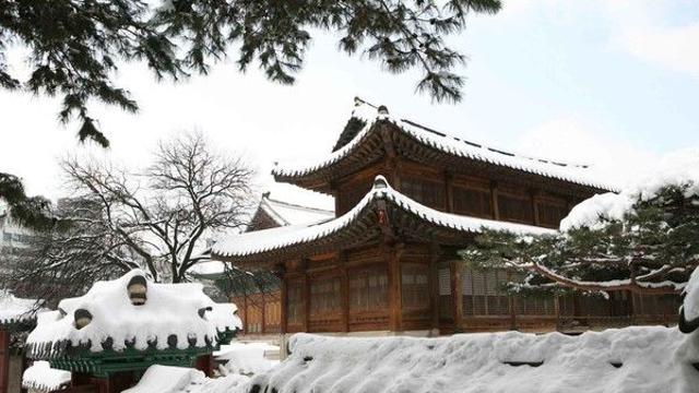 서울 중구 아이랑 가볼만한 곳, 겨울 나들이에 딱 맞는 명소
