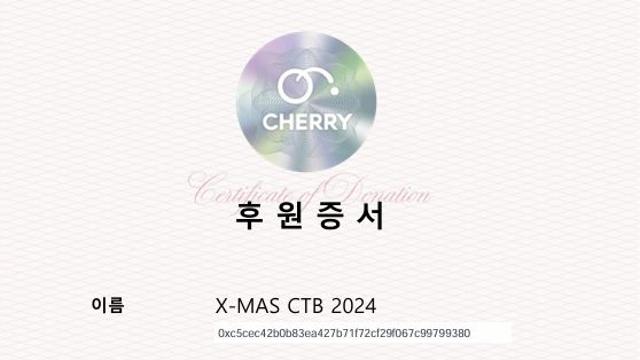 파인더갭, ‘X-MAS CTB 2024’ 보안 축제 마무리