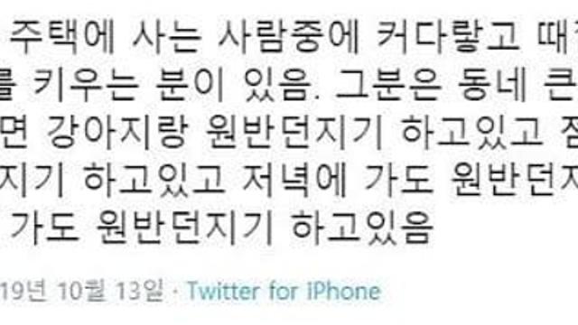 보더콜리 기르며 고급 주택에 거주하는 부유한 사람의 하루 일과.jpg..