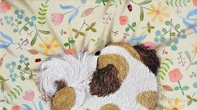 [마이더스] 갤러리 - 유승근 '반려동물, 강아지… 시츄'