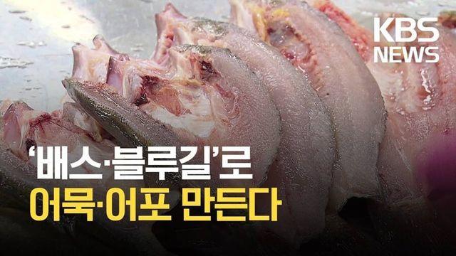 배스, 블루길로 어묵,어포 만드는 사업 근황..