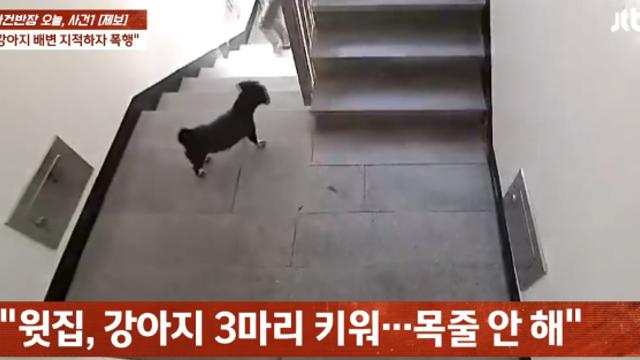 강아지 똥 치우라고 얘기했다가 폭행당한 사람 ㄷㄷ