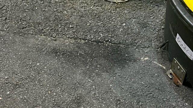 우리집 강아지 좀 봐주세요///