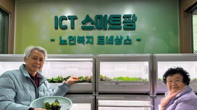 용인시처인노인복지관, 스마트팜 ‘눈길’…정서 안정·고용 창출 선순환 구조 구축