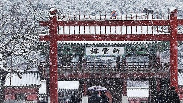 전국 흐리고 곳곳 눈·비…미세먼지 '나쁨'