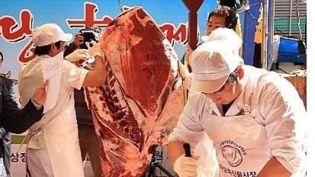 싸움 쪽에서는 절대로 건드리면 안되는 직업.jpg..